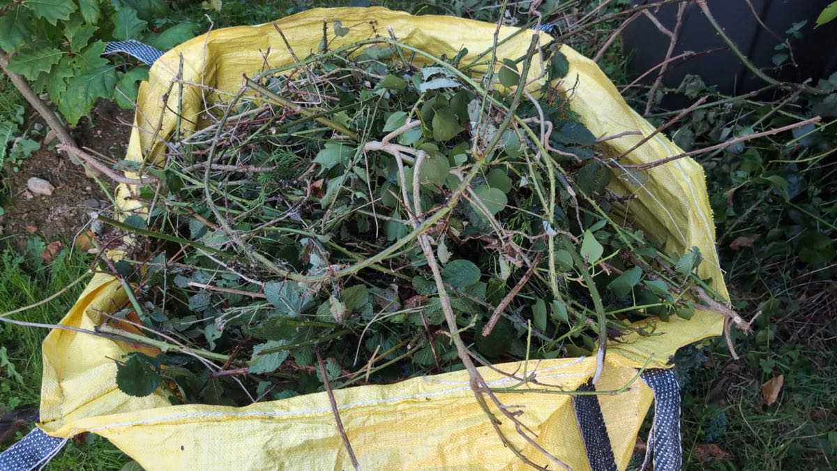 A yellow garden waste bag stuffed with cut nettles and brambles